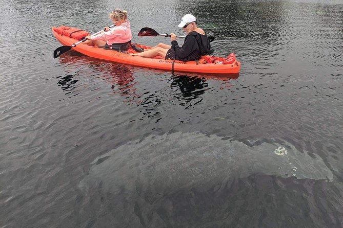 full-day-tandem-kayak-rental-for-two-people-in-crystal-river-florida-2
