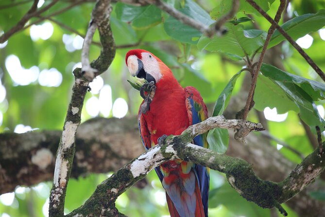 full-day-tour-in-corcovado-national-park