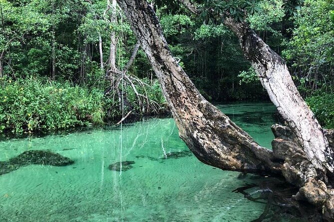 full-day-tour-in-samana-serenity