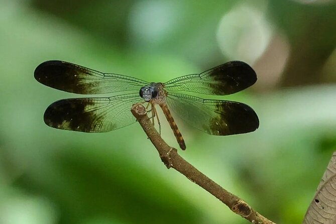 full-day-tour-manuel-antonio-national-park-from-san-jose