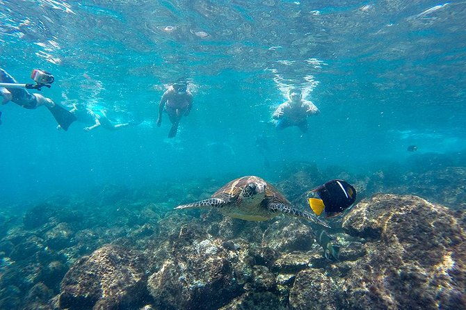 full-day-tour-pinzon-island-la-fe-las-palmas-snorkeling-fishing