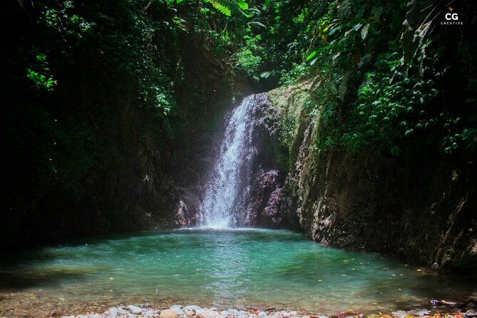 full-day-tour-popular-sites-grenada-belmont-estate-rain-forest-and-more