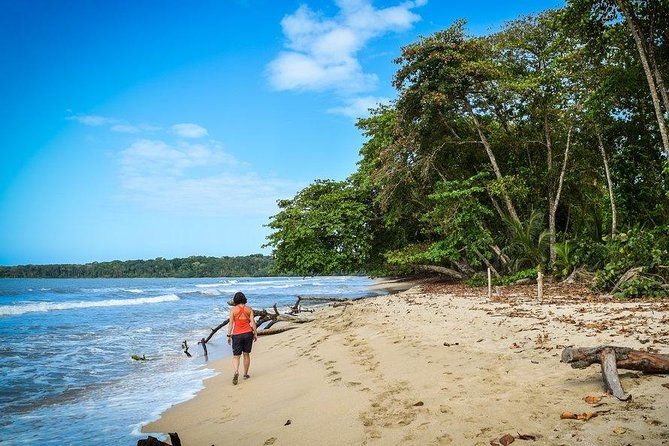 full-day-tour-to-cahuita-national-park-from-puerto-limon