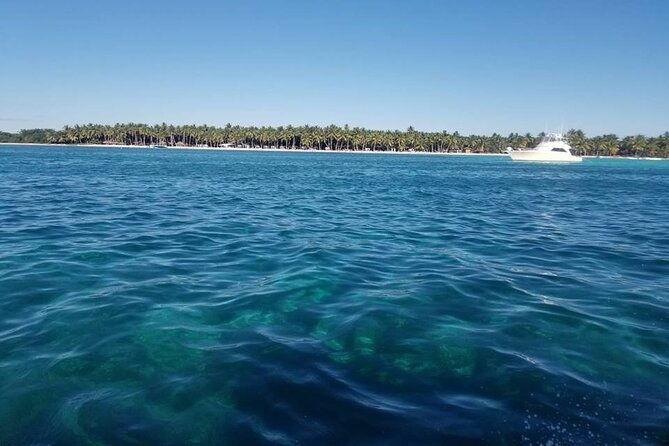 full-day-tour-to-saona-island-by-catamaran-from-cabeza-de-toro