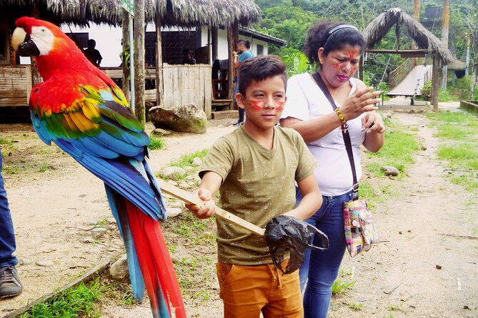full-day-tour-to-the-jungle-of-puyo