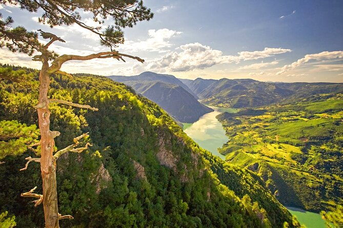 full-day-trip-from-belgrade-the-drina-river-house-and-tara-park-tour