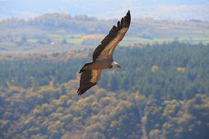 full-day-trip-from-belgrade-uvac-nature-reserve-tour-2