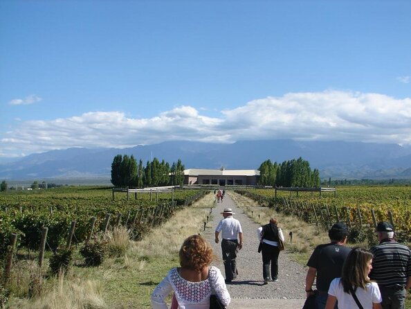 full-day-uco-valley-wine-experience-with-salentein