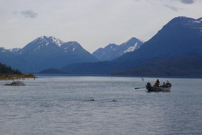 full-day-upper-kenai-river-guided-fishing-trip