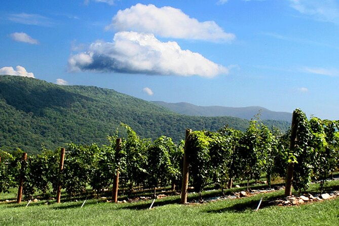 full-day-wine-country-wine-tastings-from-atlanta-2