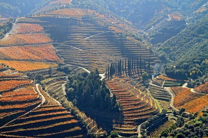 full-day-wine-tasting-river-cruise-and-lunch-from-porto