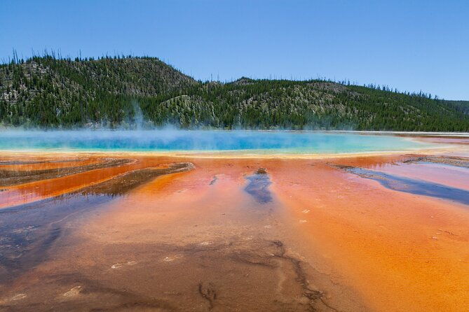 full-day-yellowstone-natl-park-tour-from-west-yellowstone