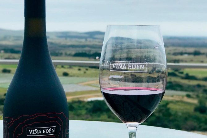 full-experience-tasting-menu-vina-eden