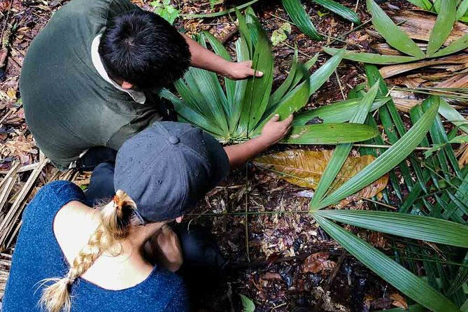 full-jungle-experience-tour