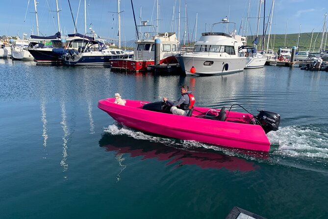funky-pink-self-drive-boats