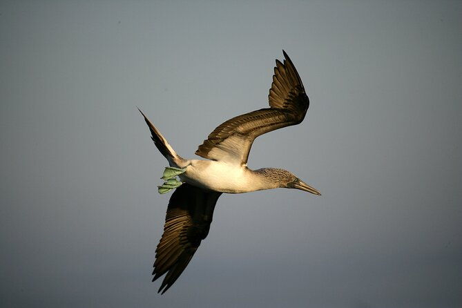 galapagos-intensive-5-days-land-base-3islands-excludes-galapagos-flight