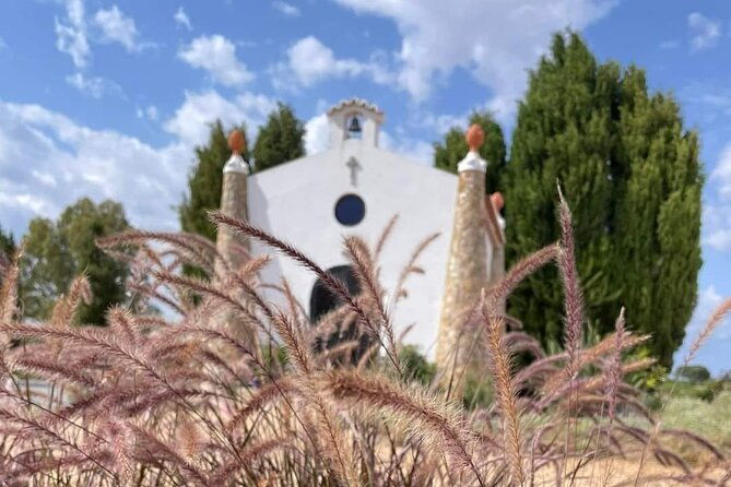 gastronomic-wine-tasting-in-mertola-alentejo