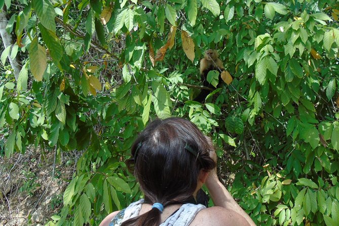 gatun-lake-wildlife-tour-from-panama-city