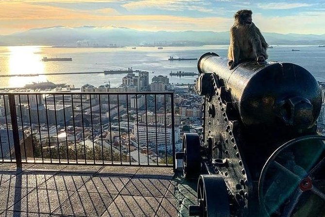 gibraltar-sightseeing-extended-rock-tour-shore-excursion-private-2