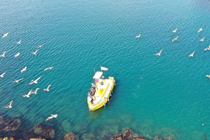 glass-bottom-boat-ride-in-redondo-beach