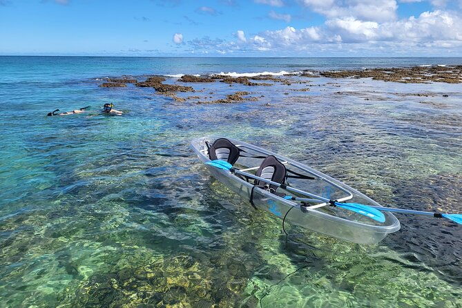 glass-bottom-kayak-guaranteed-to-see-turtles
