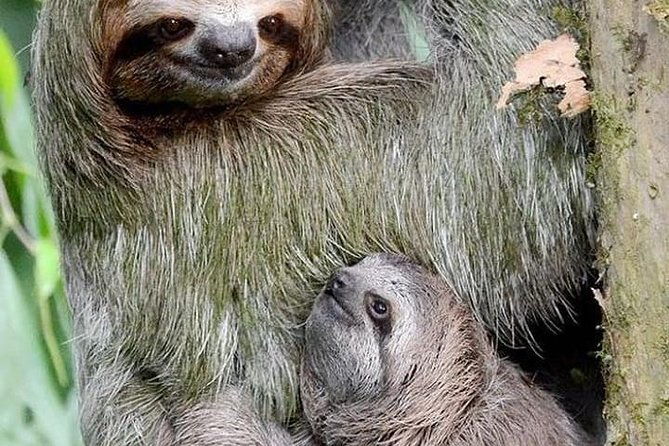 goodmans-tour-to-the-sanctuary-of-rescued-wild-animals