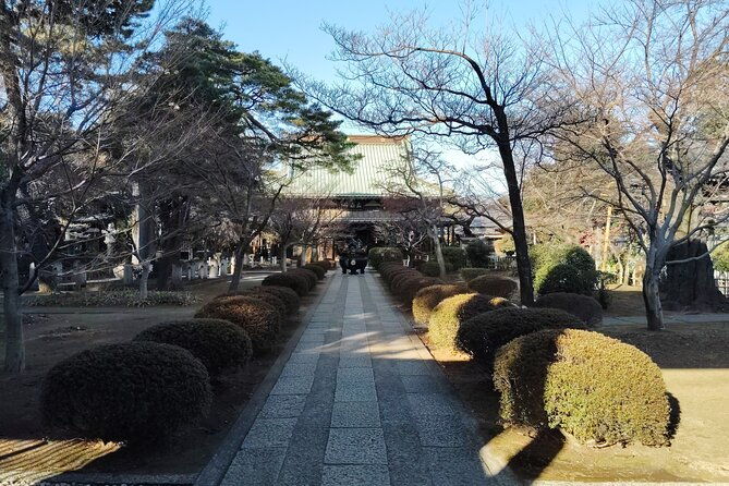 gotokuji-temple-walking-tour-with-numerous-cat-statues