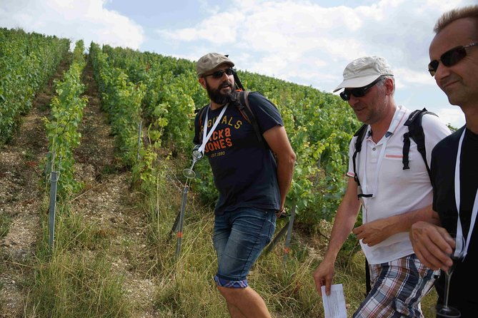 gourmet-walk-in-the-heart-of-the-vineyards-with-champagne-tasting-near-epernay