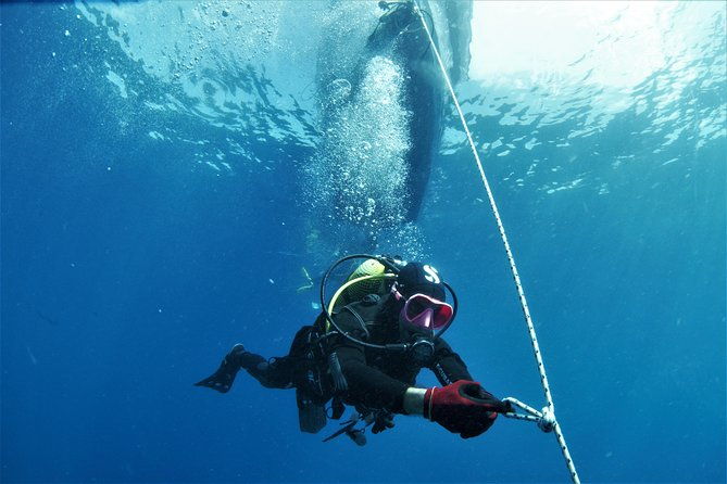 gran-canaria-3-days-6-dives-in-various-locations