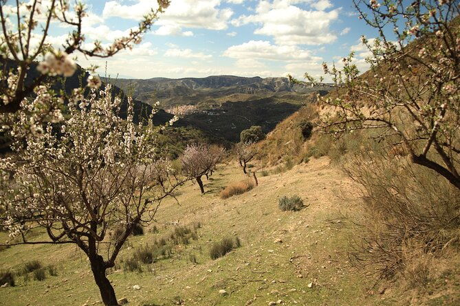 granada-nature-wildlife-and-authentic-villages-e-bike-tour