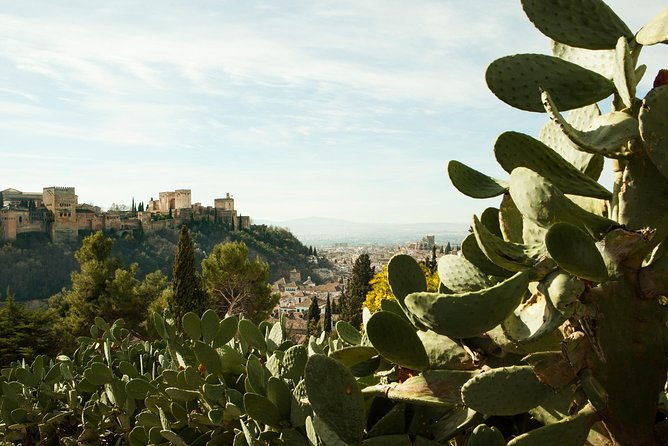 granada-sacromonte-private-tour-2