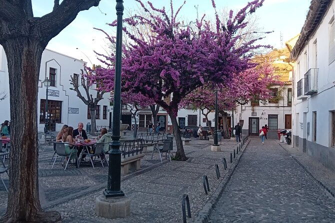 granada-tour-in-alhambra-albaicin-and-sacromonte