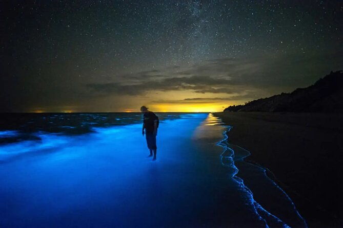 grand-cayman-bioluminescent-bay-adventure