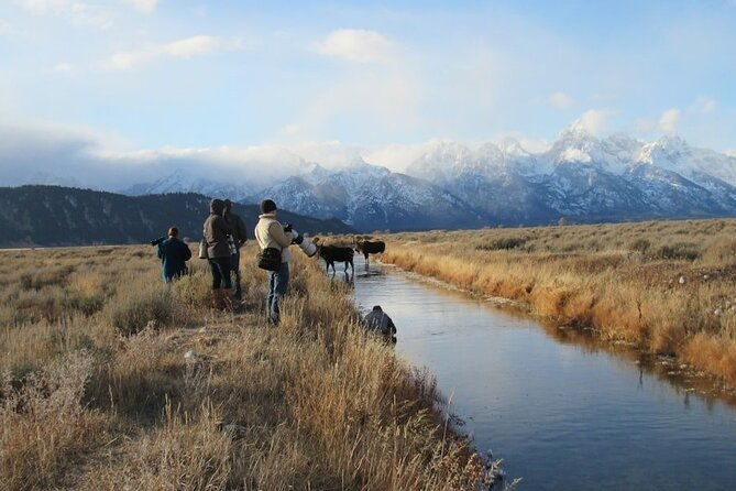 grand-teton-and-its-wildlife-private-guided-tour-2