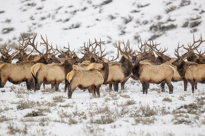 grand-teton-private-winter-tour