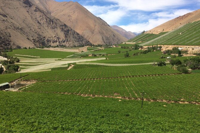 grand-tour-elqui-valley-mountains-and-cultural-treasures-of-chile