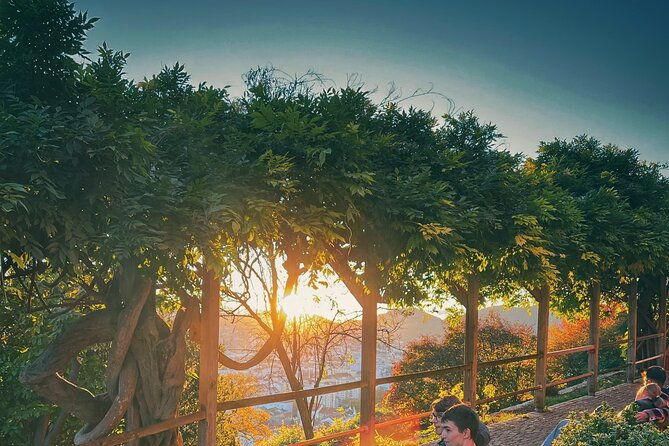 graz-funicular-ride-and-schlossberg-picnic-experience