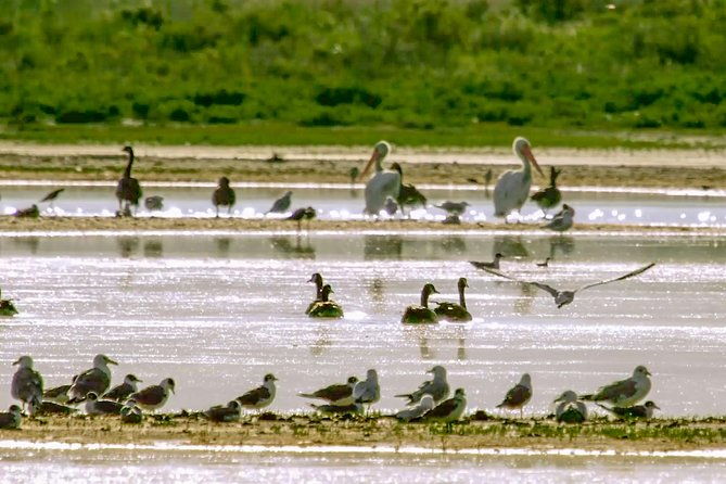 great-salt-lake-guided-bus-tour-from-salt-lake-city