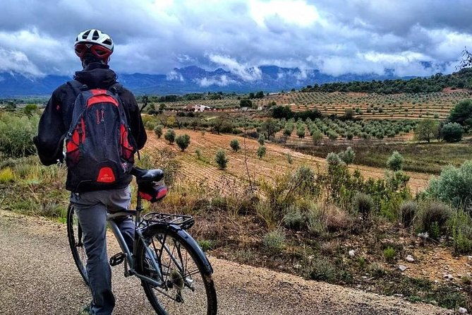 greenway-section-cretas-horta-de-sant-joan-11km-90-descending-10-flat-2