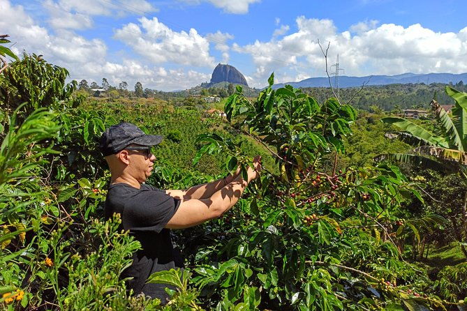 guatape-coffee-farm-all-in-one-day