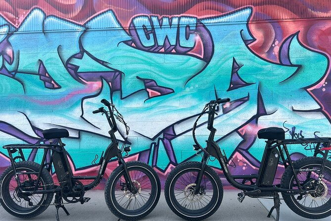 guided-asheville-e-bike-tour-of-river-arts-mountains-and-murals