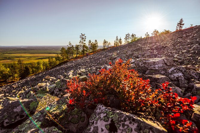 guided-easy-hike-in-finland-deepest-gorge-in-pyha-luosto-national-park