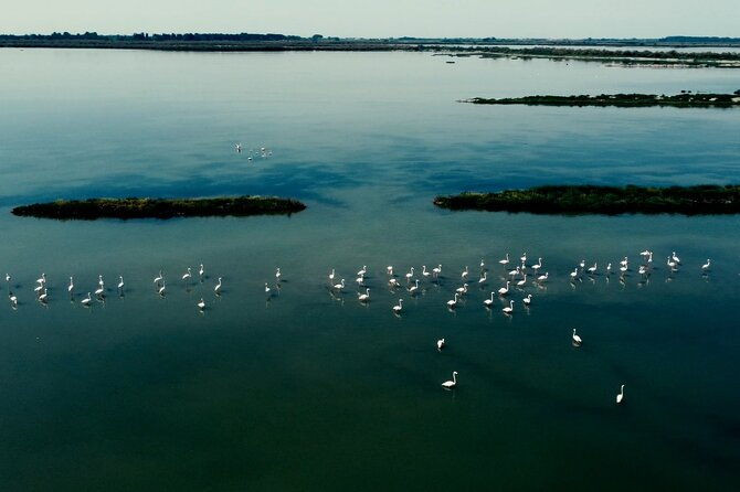 guided-excursion-for-small-groups-by-kayak-in-valle-da-pesca