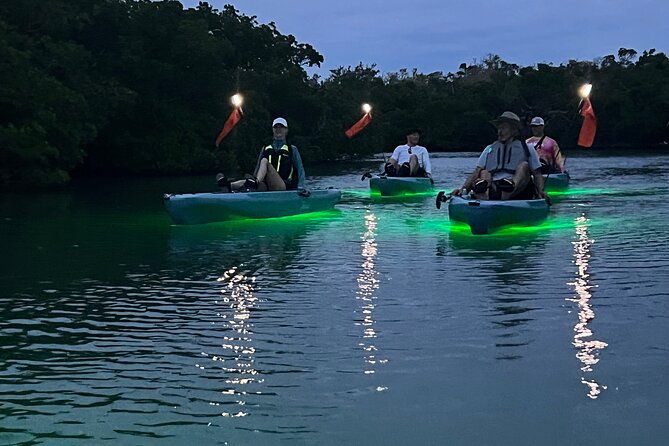 guided-glow-led-kayak-sunset-activity-in-bonita-springs