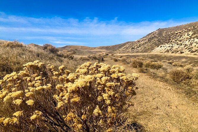 guided-half-day-scenic-tour-off-the-beaten-path