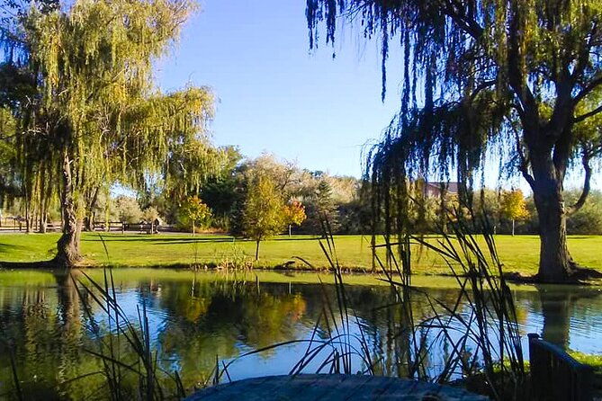 guided-half-day-tour-scenic-adventure-wine-tasting-tour
