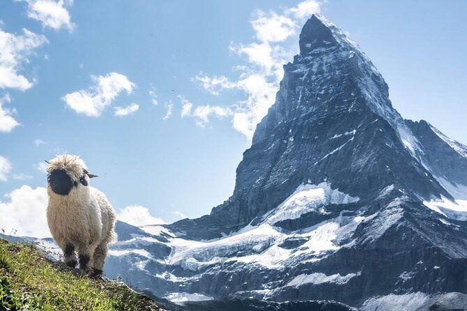 guided-hiking-half-day-in-zermatt-2
