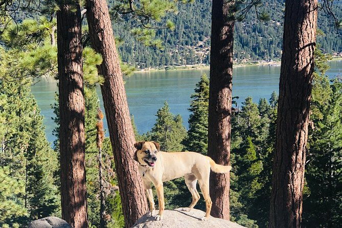 guided-hiking-tour-in-big-bear-with-sunset-champagne-toast-on-private-dock