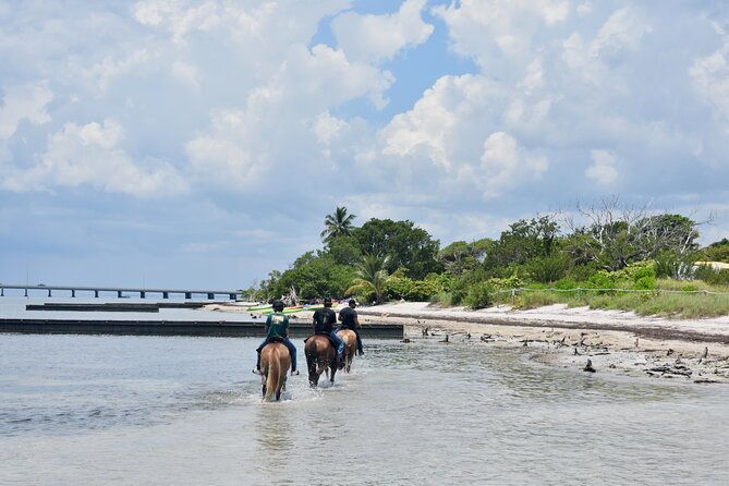guided-horseback-riding-on-the-pristine-waters-of-miami-florida