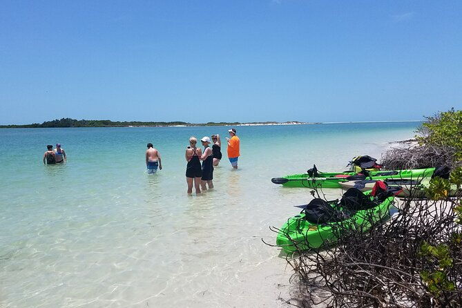 guided-kayak-ecotour-of-beautiful-shell-key-preserve